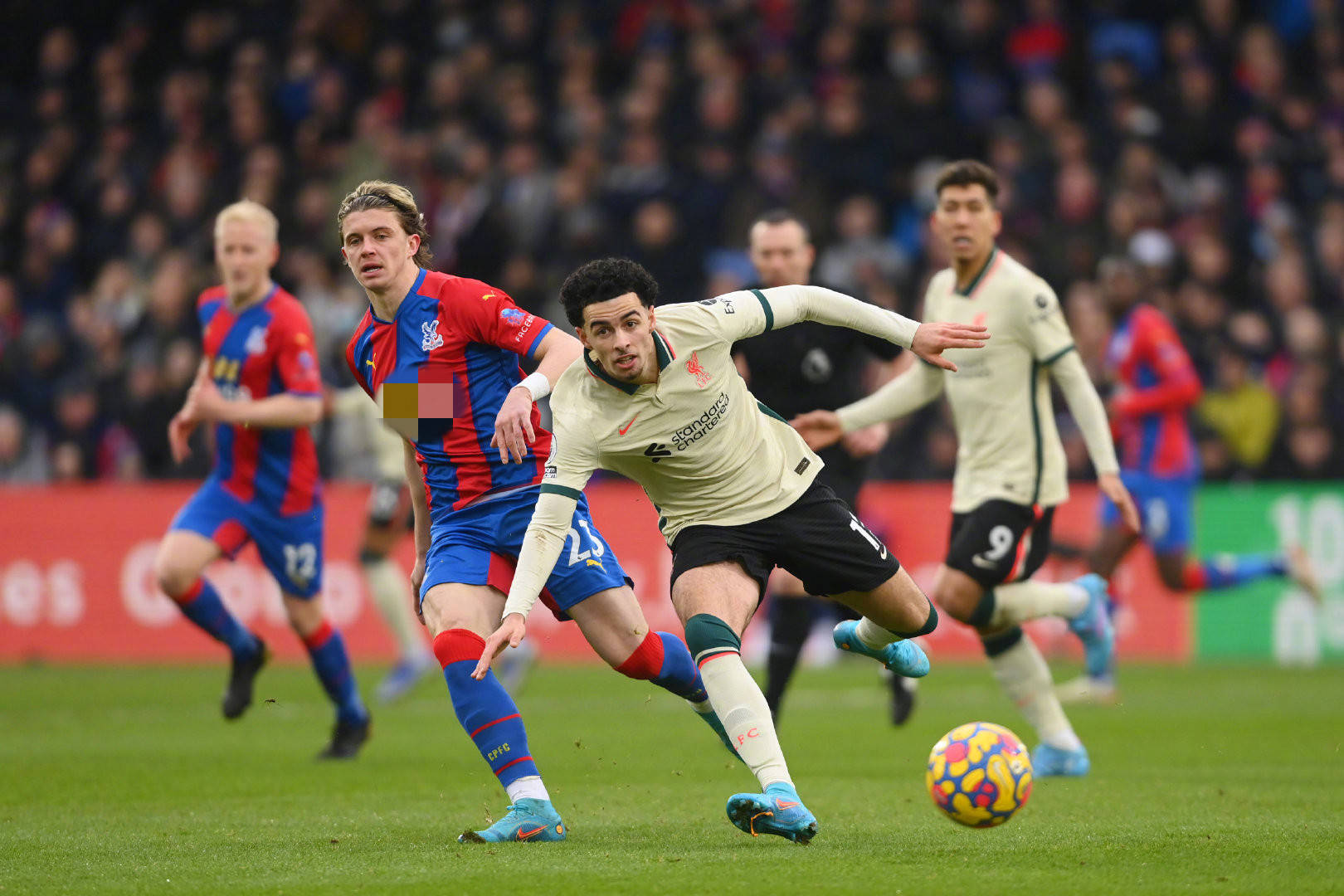 了众多球队 了众多球队