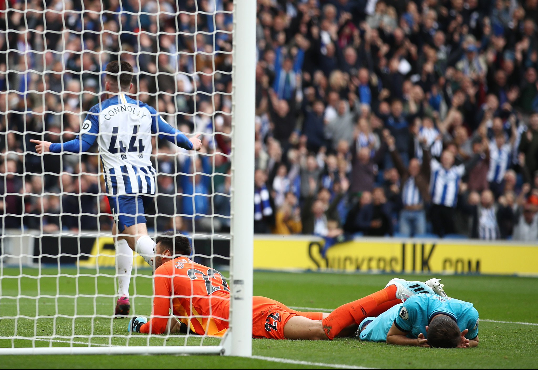 显的本土优 显的本土优